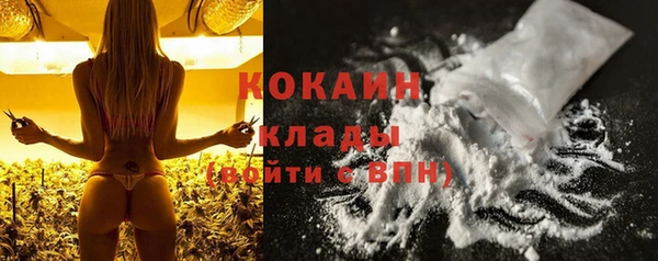 дживик Абаза