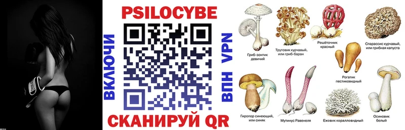 Псилоцибиновые грибы MAGIC MUSHROOMS  blacksprut рабочий сайт  Рассказово 