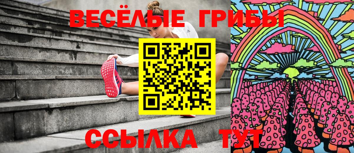 Псилоцибиновые грибы мухоморы Рассказово