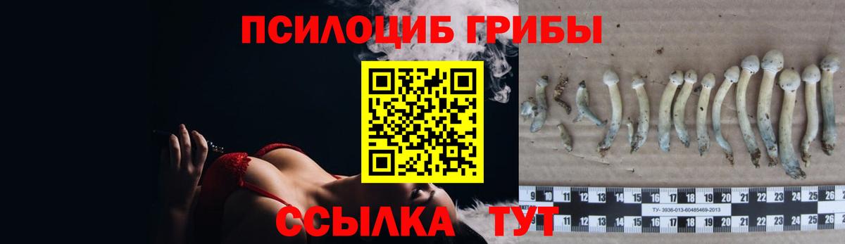 Рассказово  Галлюциногенные грибы Psilocybine cubensis  Вход с VPN  Галлюциногенные грибы мицелий 